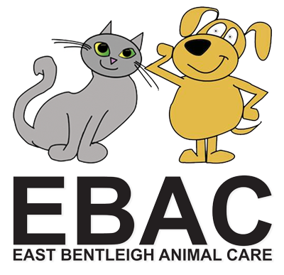 East Bentleigh Animal Care