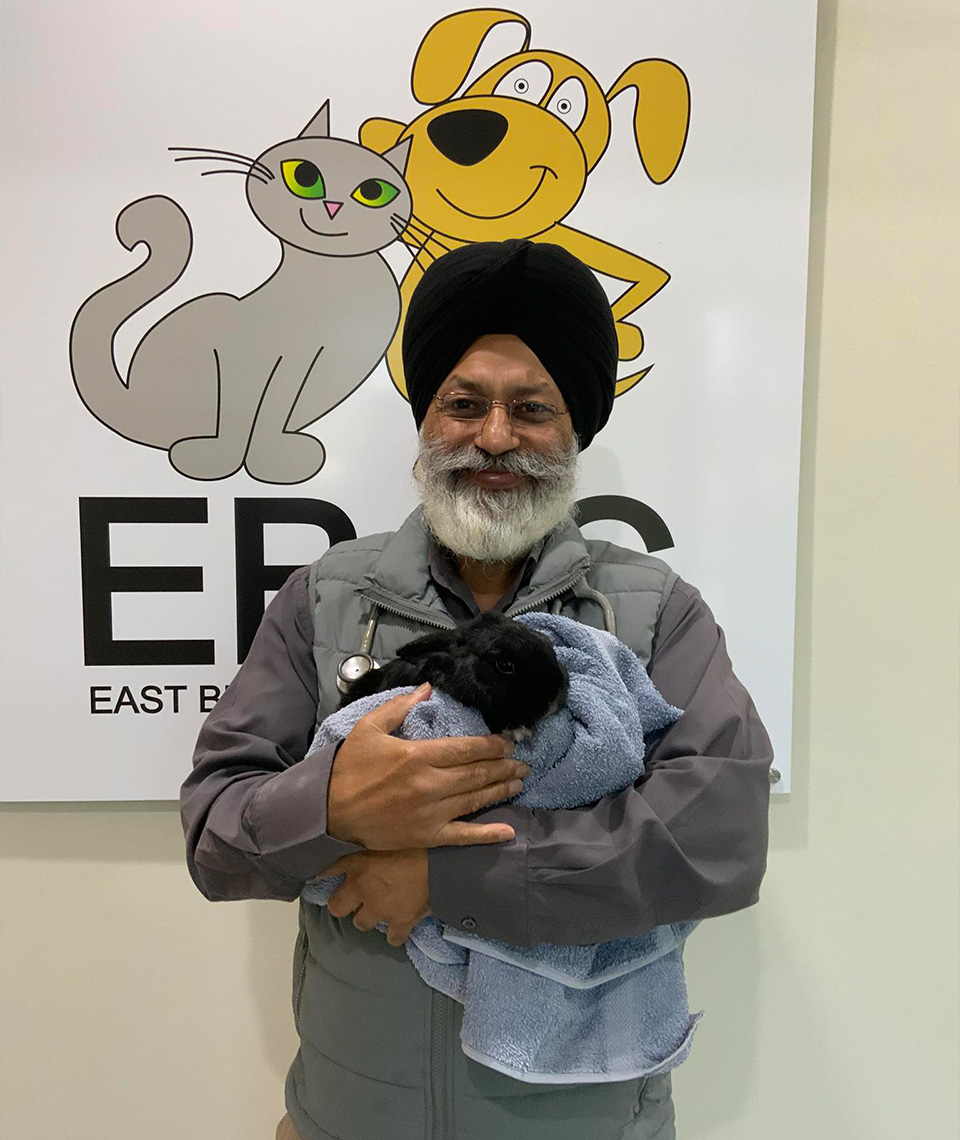 East Bentleigh Animal Care 
